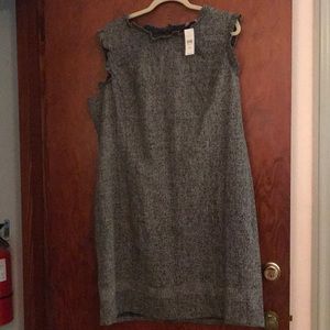 Loft tweed shift dress